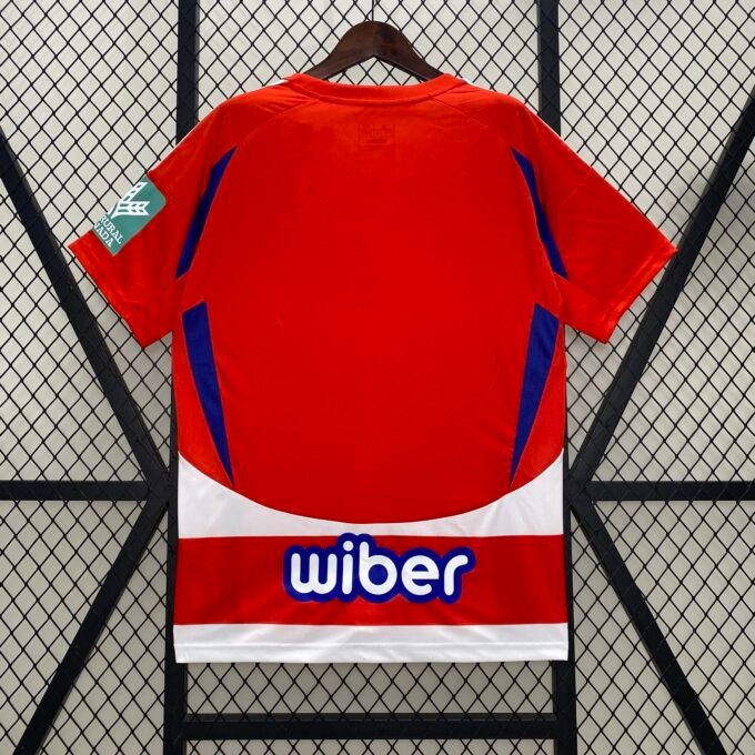 Equipación Local Home Football Jersey 2024/2025 - Imagen 2